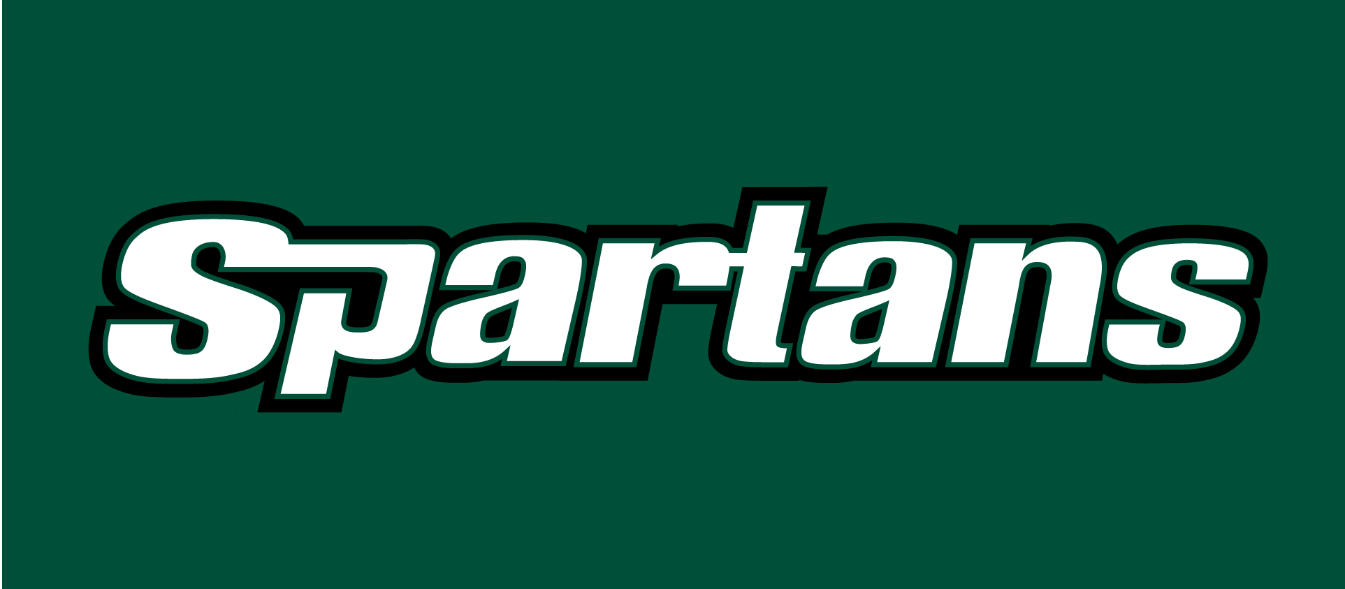 USC Upstate Spartans 2003-2010 Wordmark Logo v2 iron on transfers for fabric
